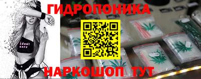 прущие грибы Азнакаево