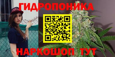 прущие грибы Азнакаево