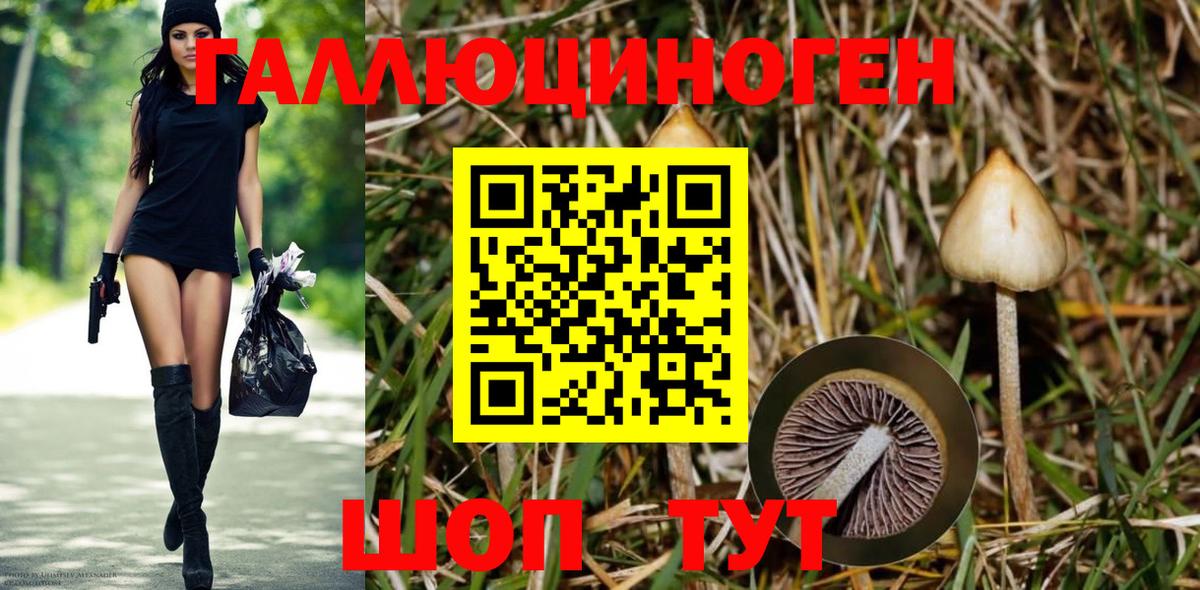 Альметьевск  Галлюциногенные грибы прущие грибы  Вход с VPN 
